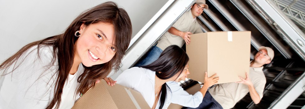 Professional Removalists Beech Forest